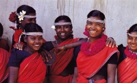 Chhattisgarh Tribal Culture