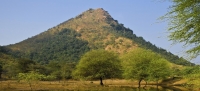 Annamalai hills