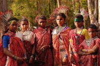 Baiga Tribe