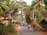 Morjim Village, North Goa