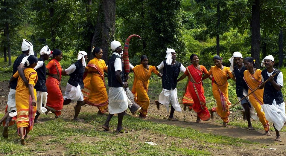 Tarpa, Traditional Dance Form of  Dadra and Nagar Haveli