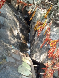 Panchulingeswara Temple