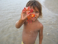 Red Crabs at Chandipur Beach