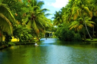 Alappuzha backwaters