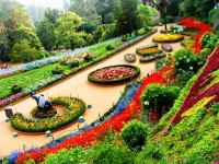 Ooty Gardens