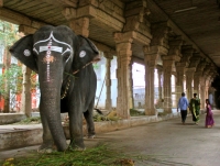Tirunelveli Temple