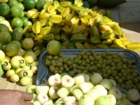 Yelagiri fruits