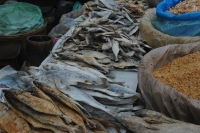 Dried Fish at Mapusa Friday Market