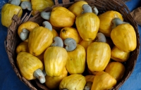 Cashew Nuts at Mapusa Friday Market
